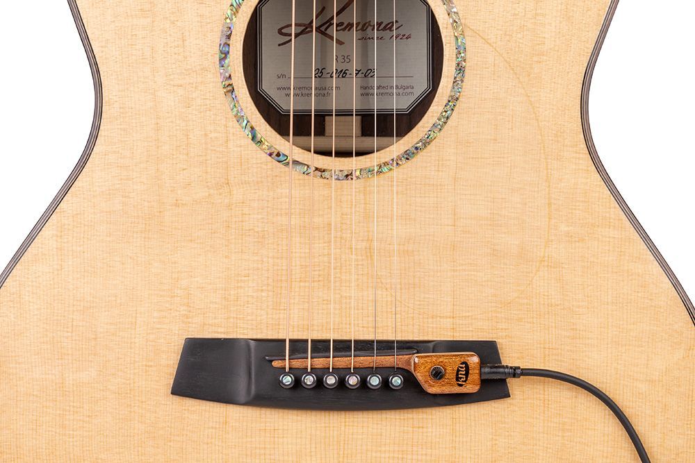 Microfono para Acustica SG2 c.volumen . Imp