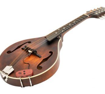 Microfono Mandolin MPWI inalambrico c. de volumen . Imp
