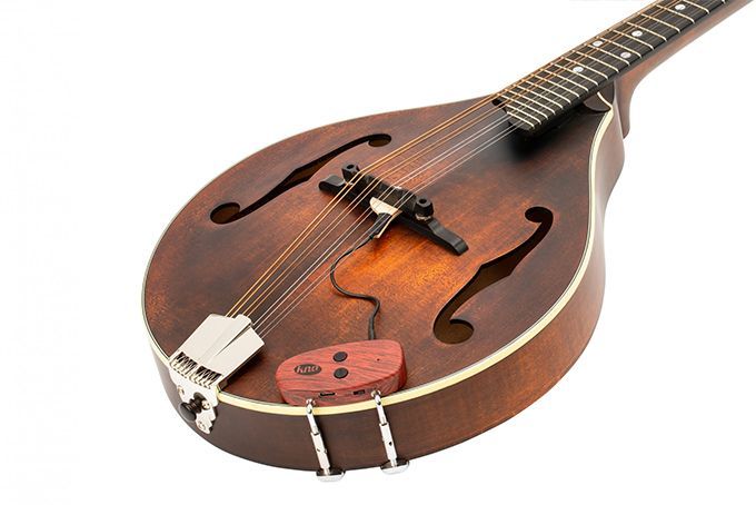 Microfono Mandolin MPWI inalambrico c. de volumen . Imp - Imagen 2