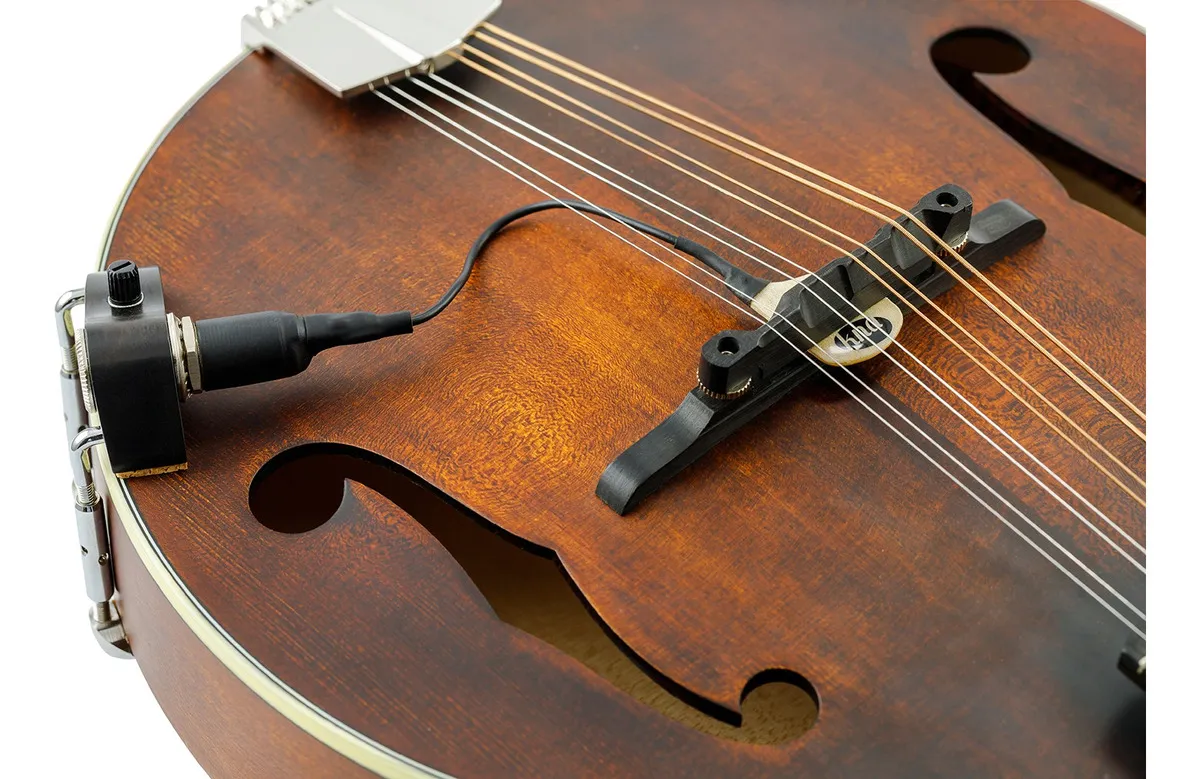 Microfono para Mandolin MP2 con control de volumen . Imp - Imagen 3