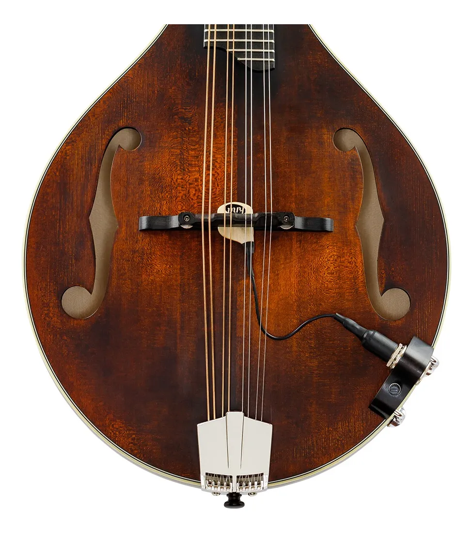 Microfono para Mandolin MP2 con control de volumen . Imp - Imagen 5