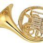 Horn
