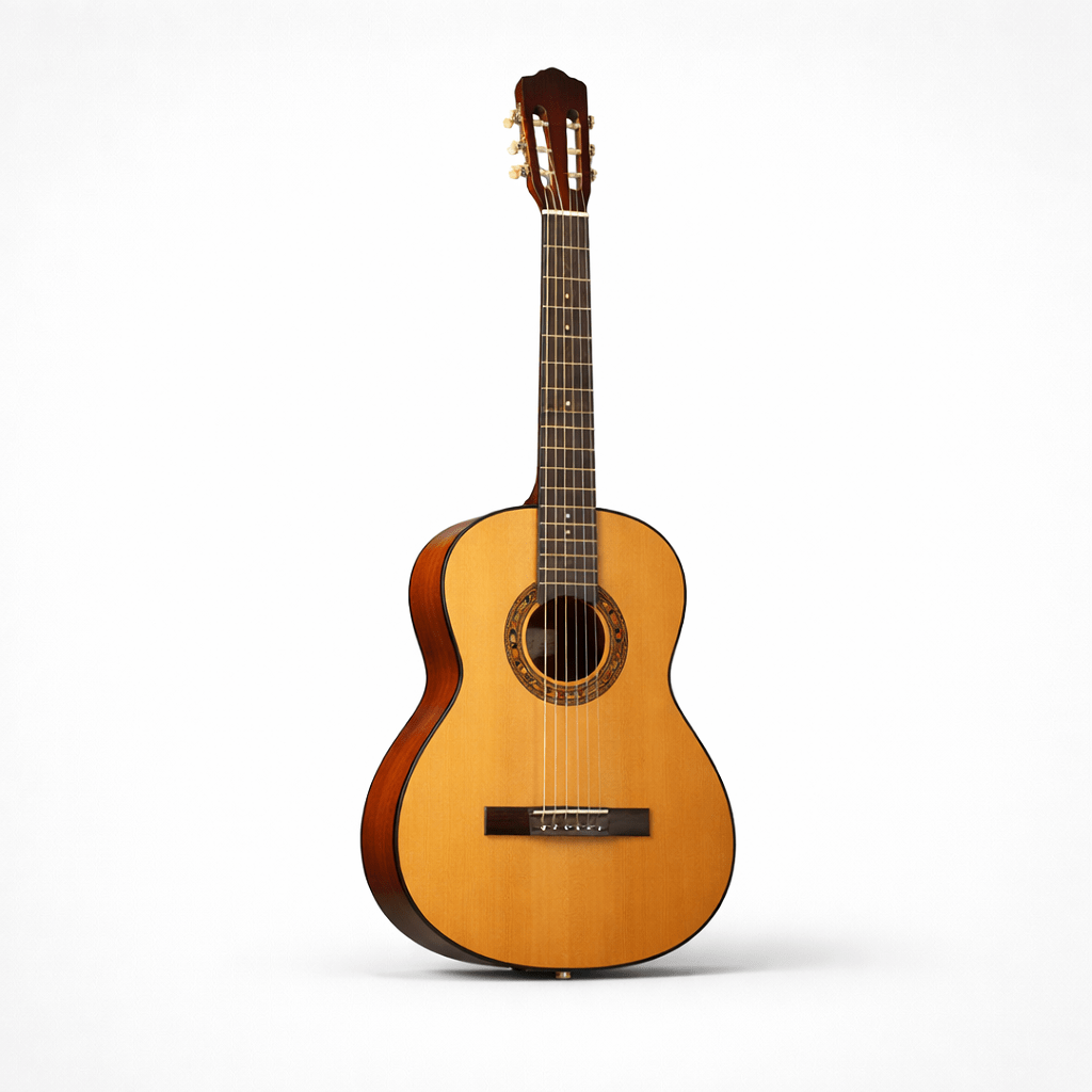 GUITARRAS